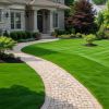 Professional lawn care service in Texas
