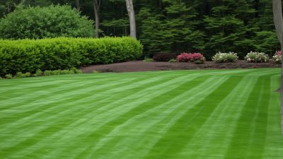 Professional fertilization equipment for Texas lawns
